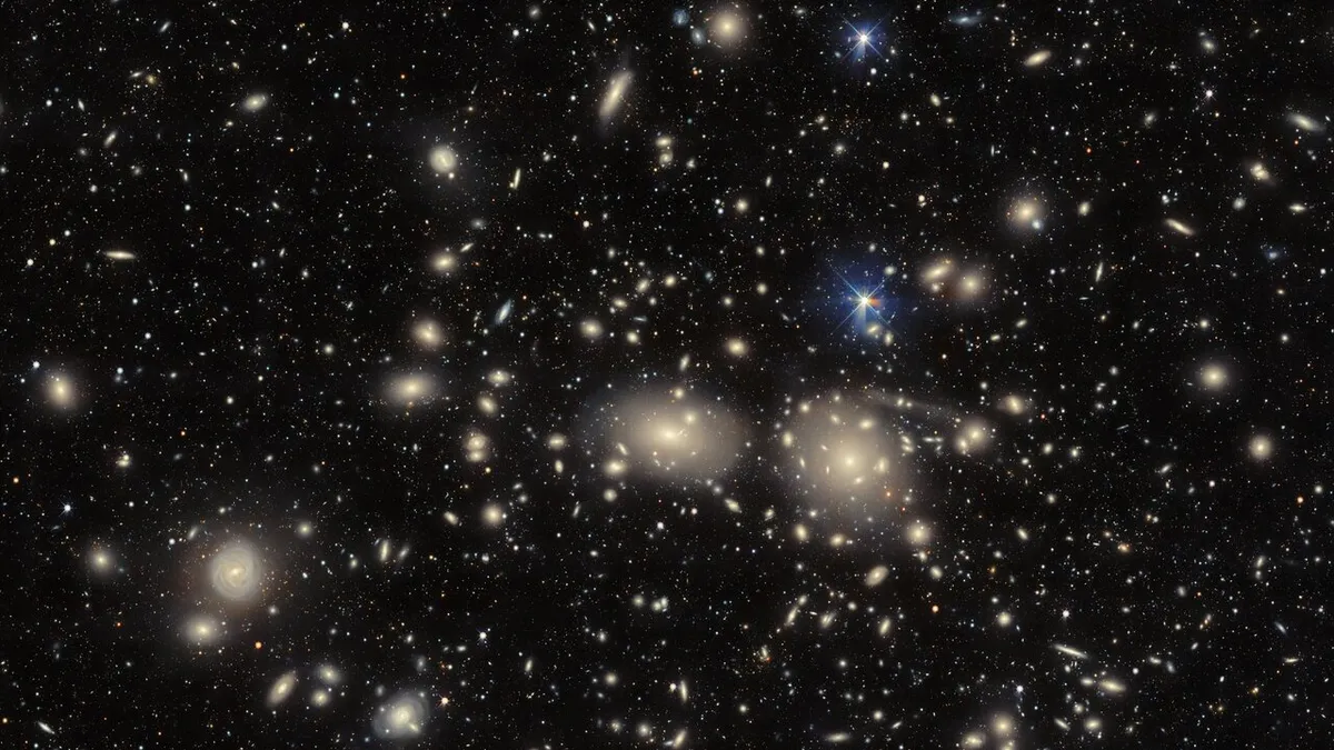 Coma Galaxy Cluster