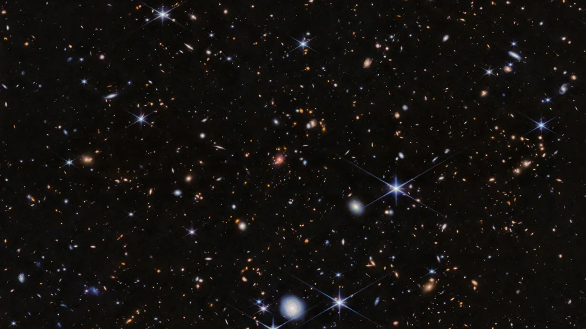 Spiderweb Protocluster at high-z